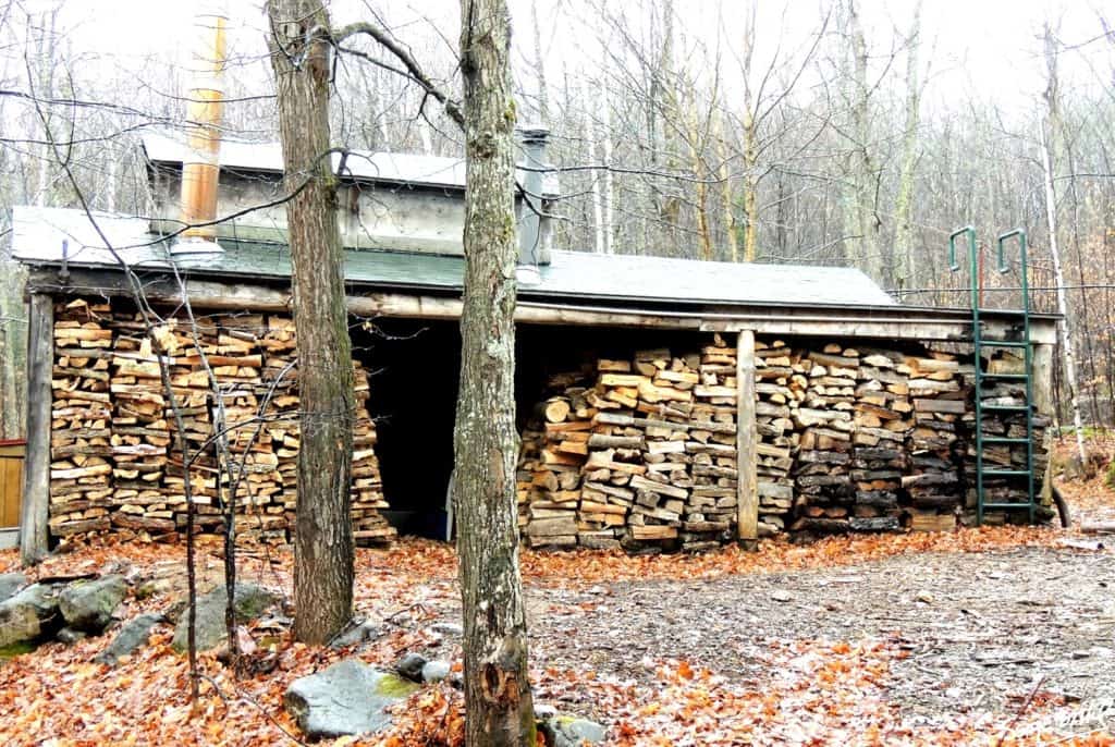 Val-Morin veut réglementer la coupe de bois