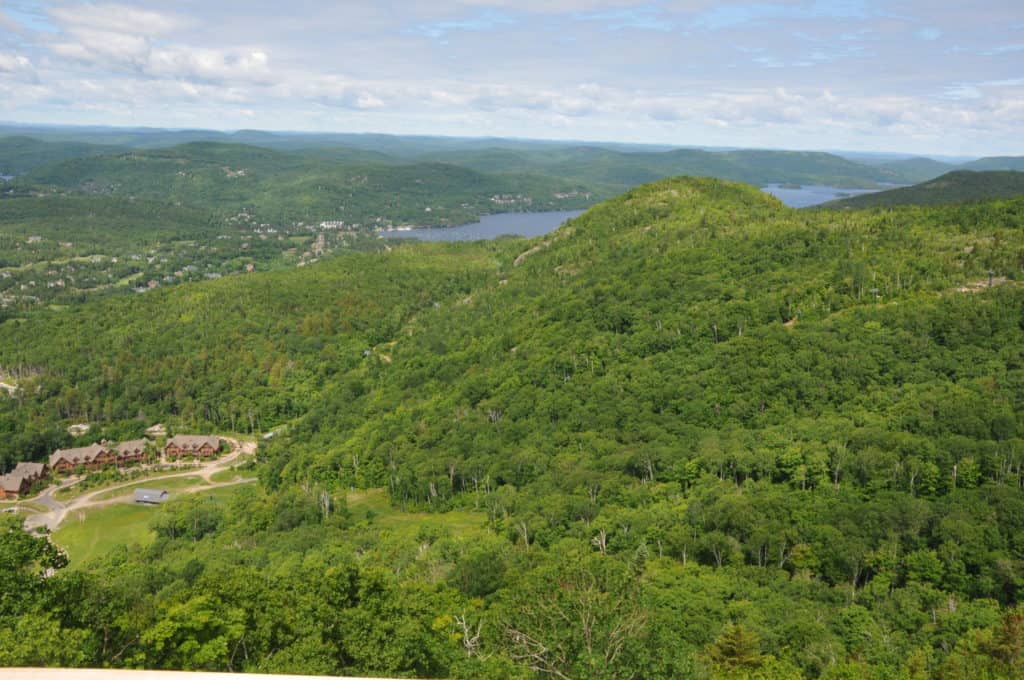 Le chemin des Cyprès deviendra une route panoramique