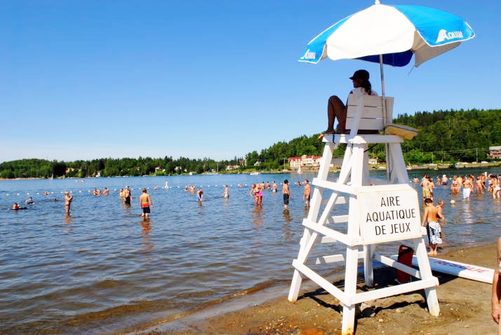 Plusieurs projets sur la table en 2016