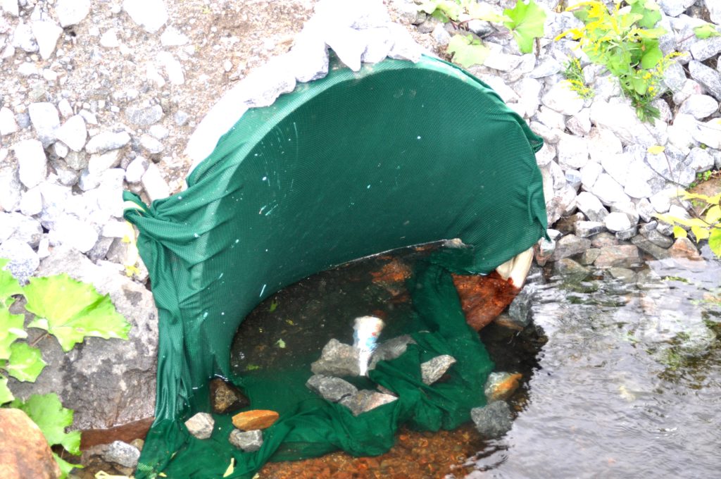 La communauté juive dans l’eau chaude