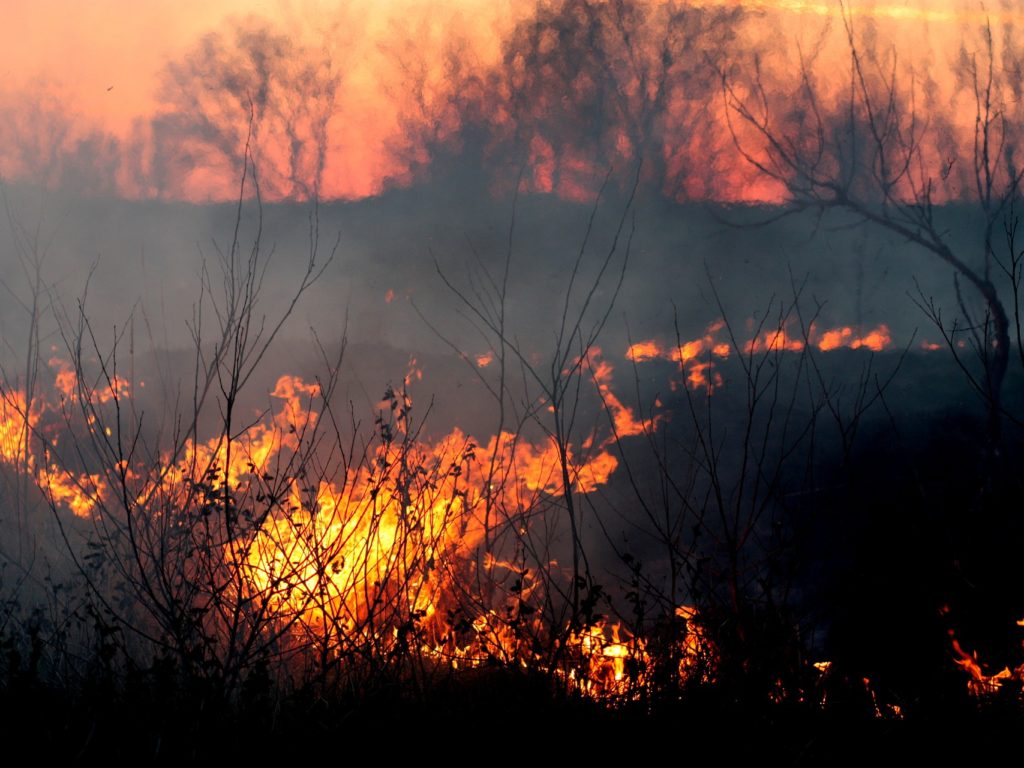 Retour du beau temps: la SOPFEU lance un appel à la prudence