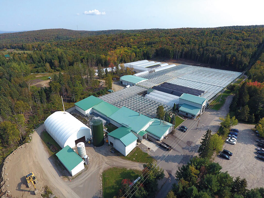 Serres Zyromski en expansion grâce à une aide financière généreuse