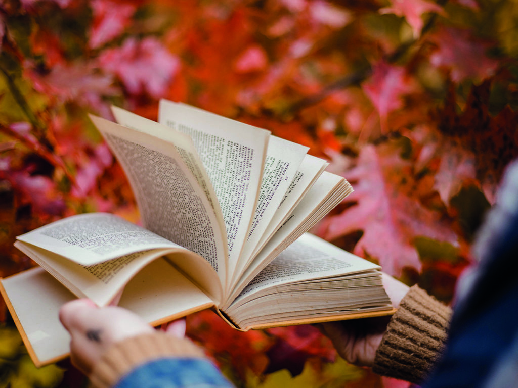 Octobre, le mois des bibliothèques publiques