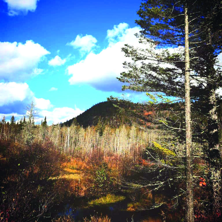 Nos paysages, on les aime!