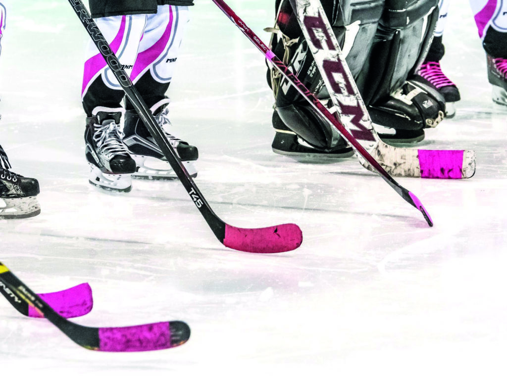 Hockey féminin: Les Palettes Roses s’impliquent auprès des jeunes