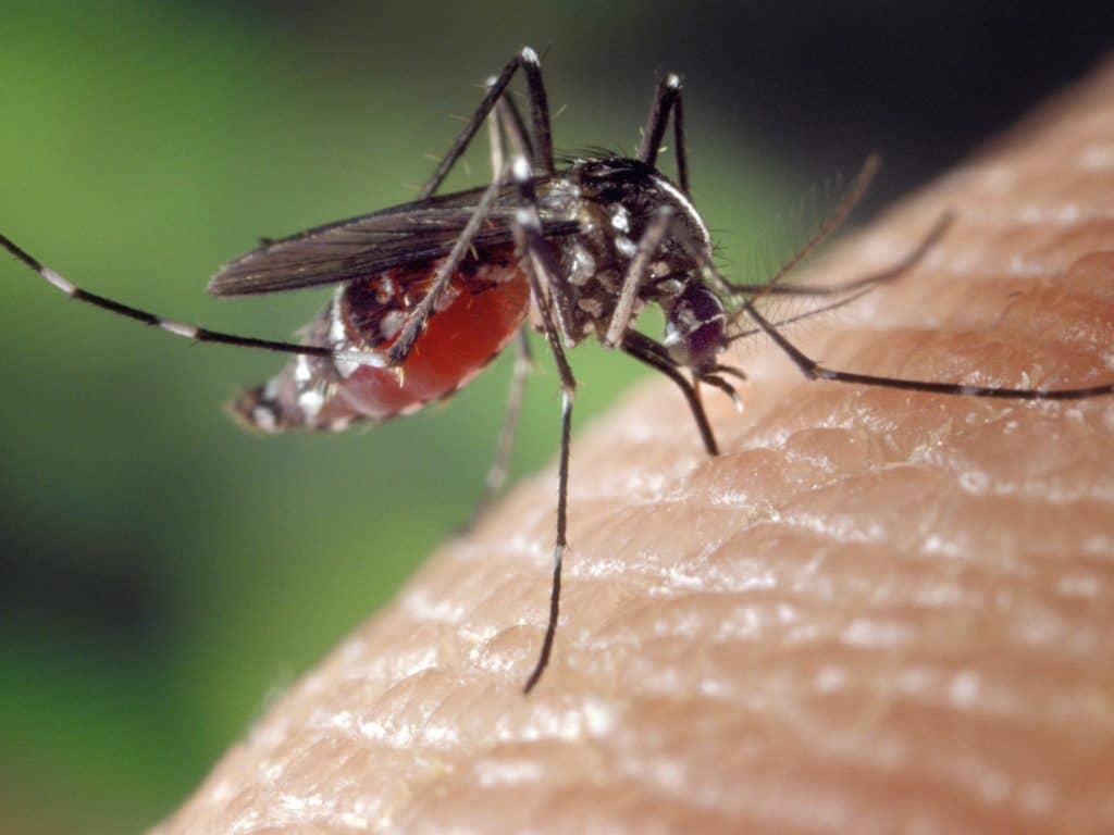 Un moratoire sur l’épandage du Bti est demandé