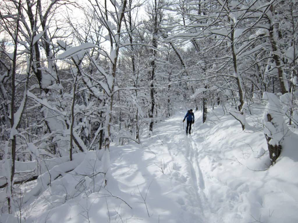 Achalandage augmenté dans les sentiers cet hiver : une cohabitation parfois difficile entre les usagers