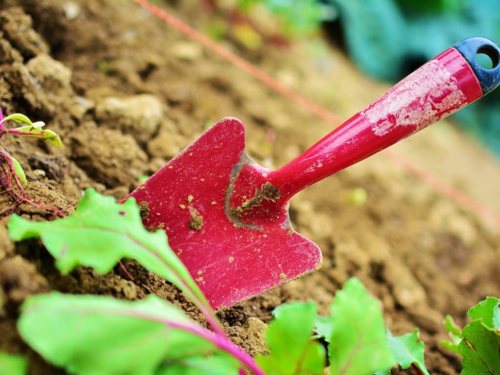 Un jardin, on installe ça où?