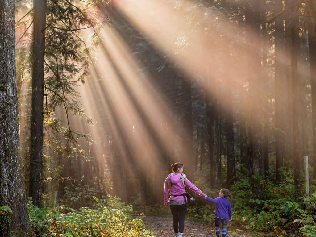 Une grande marche pour la protection des forêts du sud du Québec s’organise