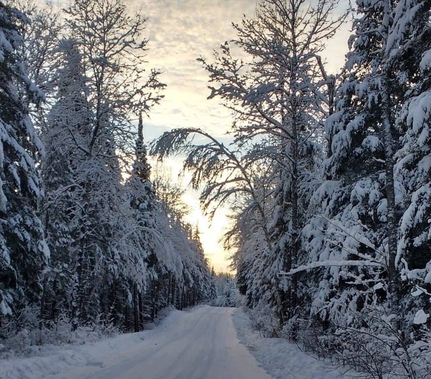 Les écoroutes d’hiver: une idée qui fait son chemin