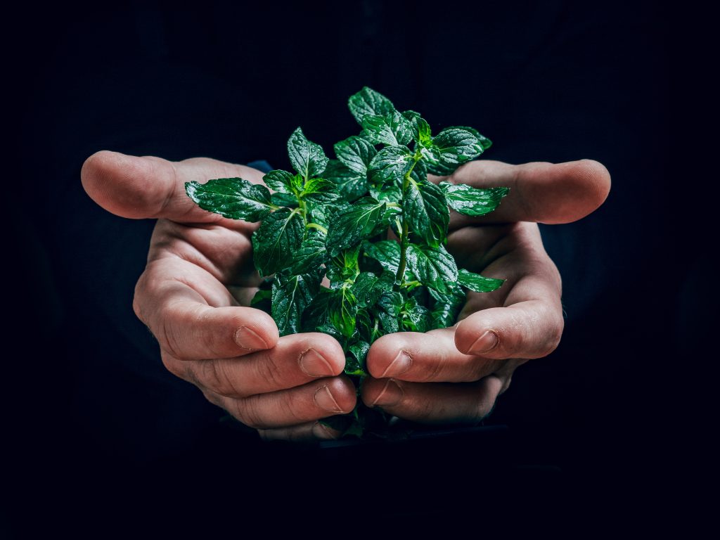 Un guide pour mieux contrer les changements climatiques