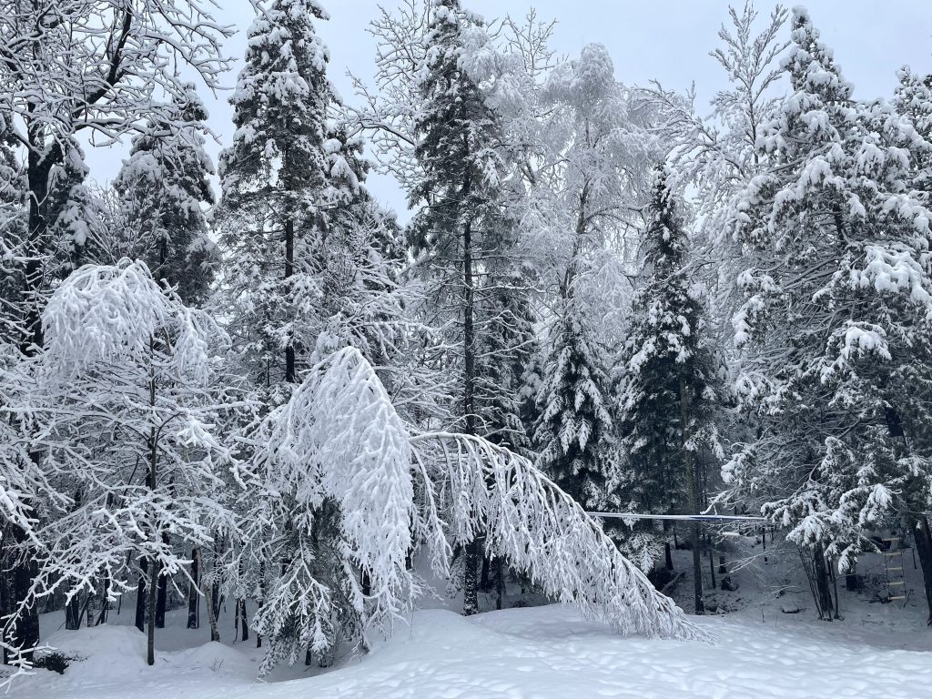 La neige cause plusieurs pannes de courant