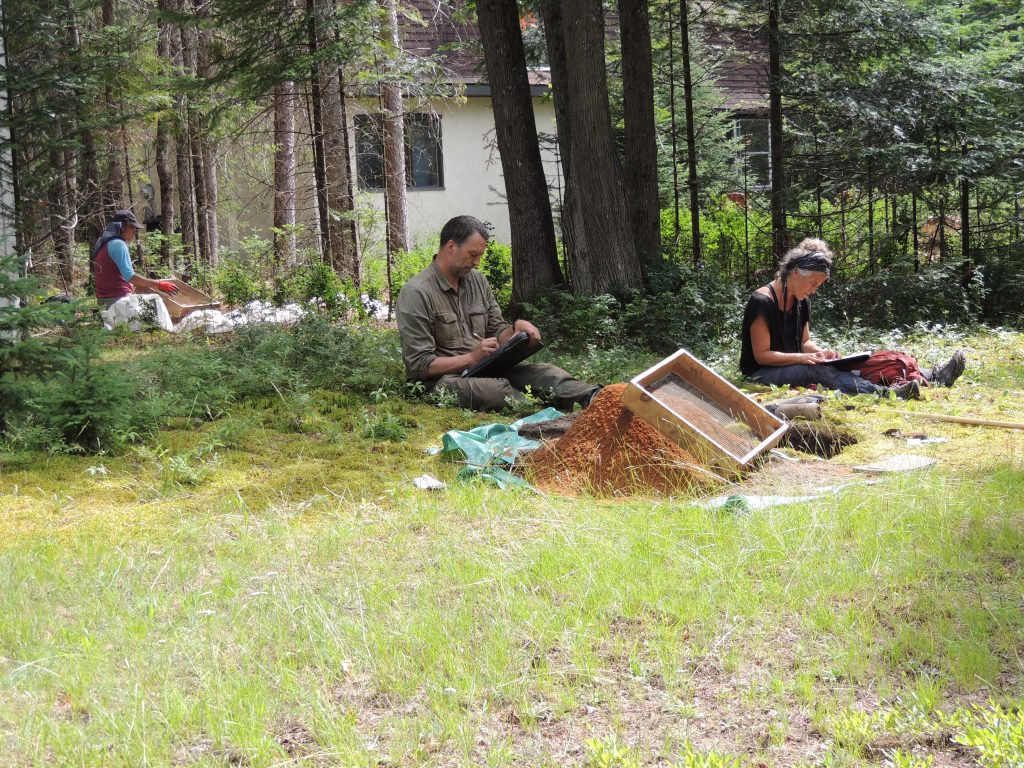 Appel à tous : qui a trouvé des artefacts dans la région?