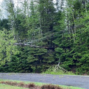 Le derecho a frappé très fort, laissant des centaines de résidents sans électricité. (Photo: André Chevrier)