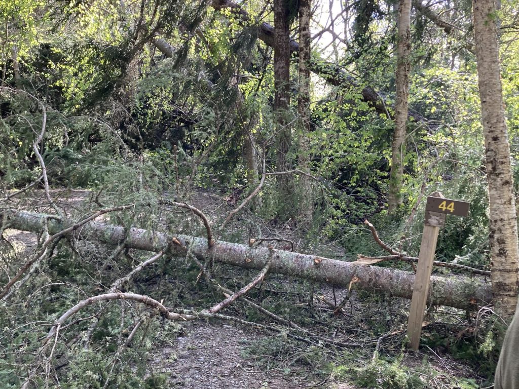 Des parcs régionaux toujours fermés