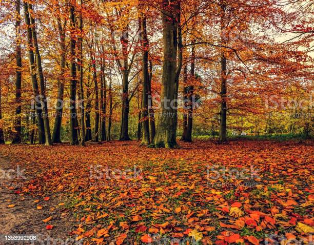 Quoi faire dans les Laurentides – semaine du 26 septembre
