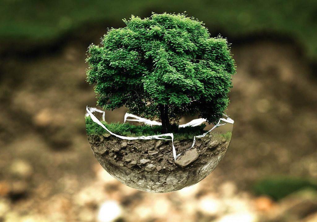 Trouver des solutions pour préserver nos richesses naturelles