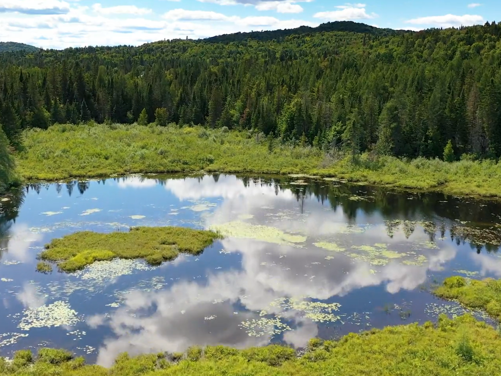 Sainte-Agathe récompensée pour l’aire protégée du petit Lac-des-Sables