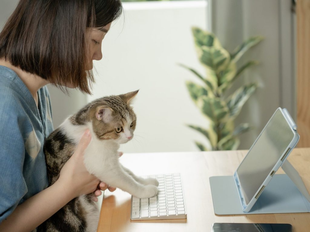L’hôpital vétérinaire Sainte-Agathe propose désormais la télémédecine animale