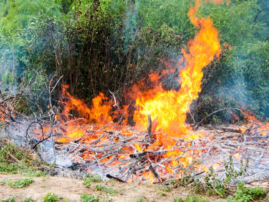 Restriction des travaux en forêt dans plusieurs régions