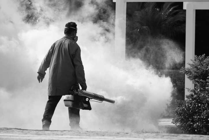 Pourquoi faire appel à un exterminateur professionnel?