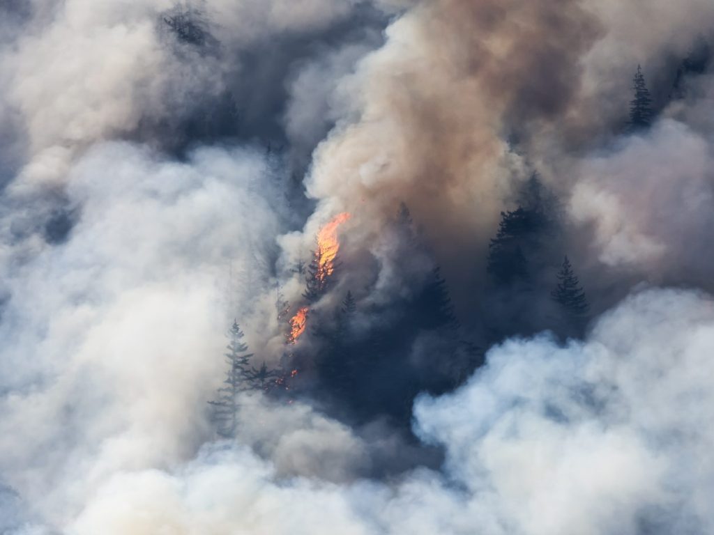 Inflammabilité extrême : Québec demande d’éviter tout déplacement en forêt