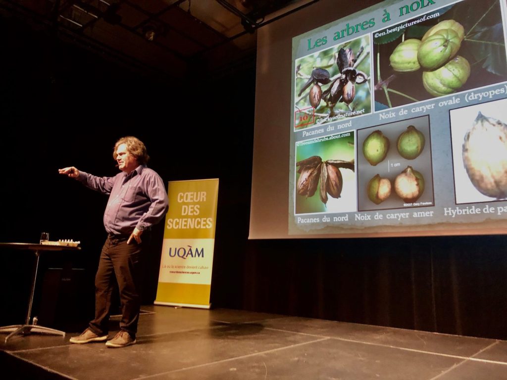 Cueillir et déguster des plantes sauvages à Saint-Donat
