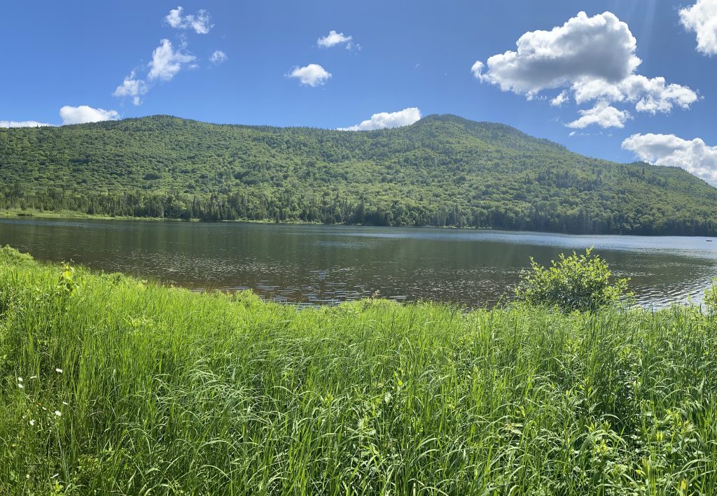 Préserver la biodiversité des Laurentides, une question de survie