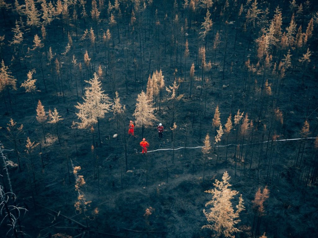 Feux de forêt : de sombres prévisions pour le reste de l’été