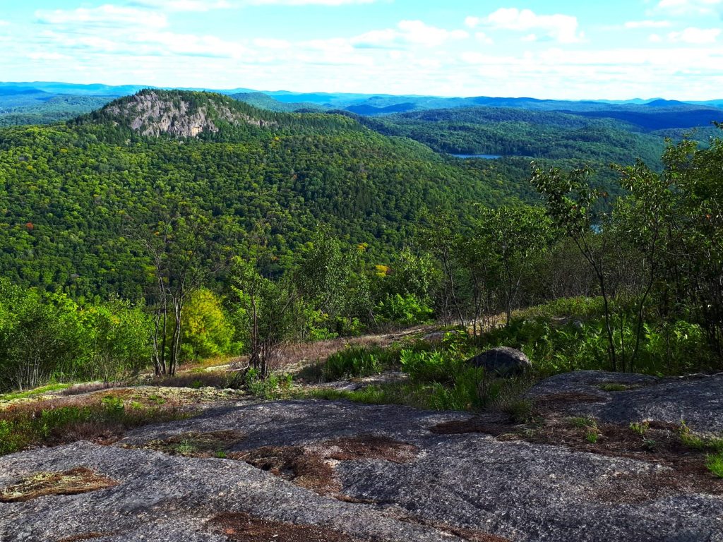 Plus de 130 000 $ pour la protection de la biodiversité de Lac-Tremblant-Nord