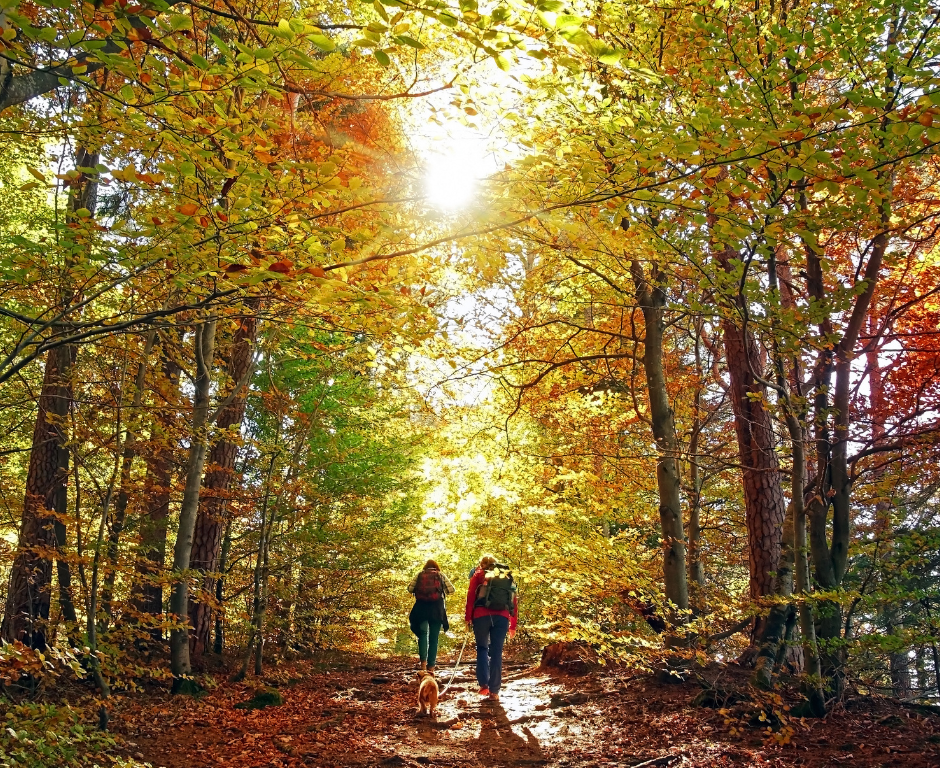 Les bienfaits de bouger en plein air