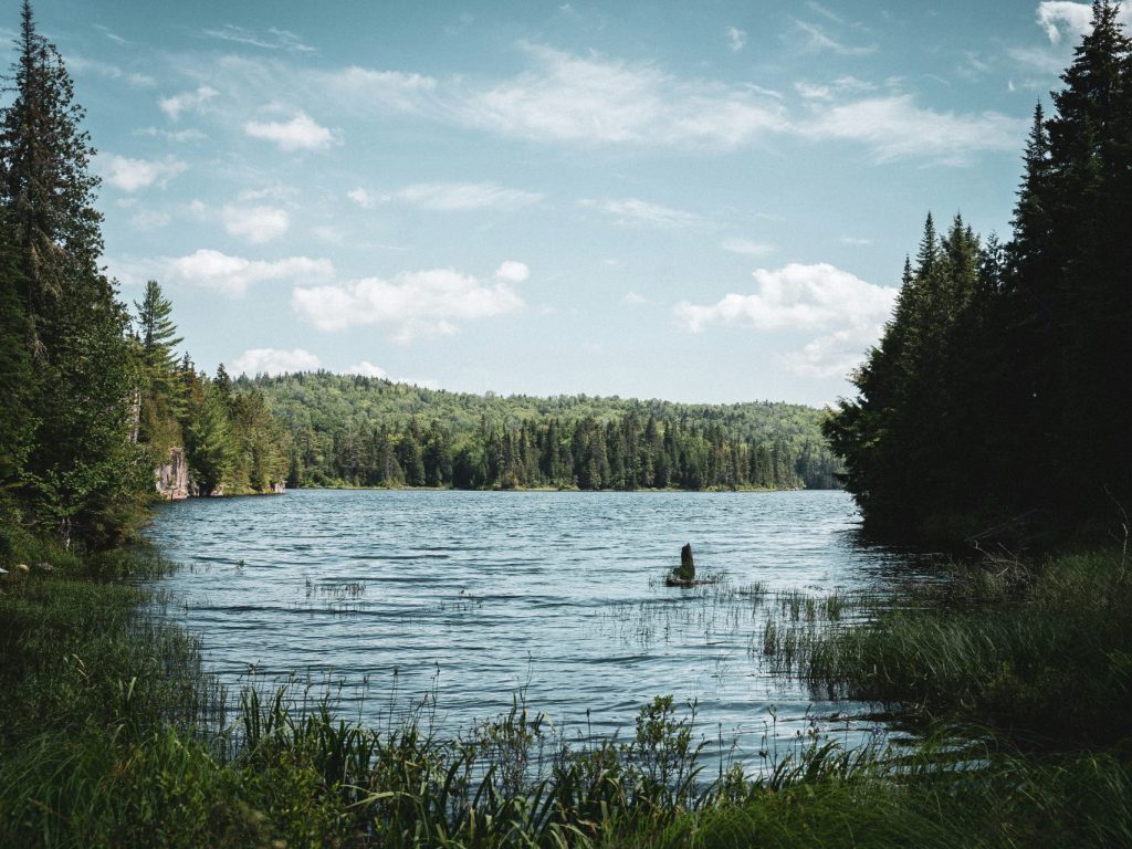 Est-ce que le gouvernement du Québec se penchera sérieusement sur une révision de la Loi sur les mines afin de protéger l’environnement? C’est ce que souhaitent de nombreux organismes qui ont déposé des mémoires au ministère des Ressources naturelles et des Forêts. (Photo Unsplash)