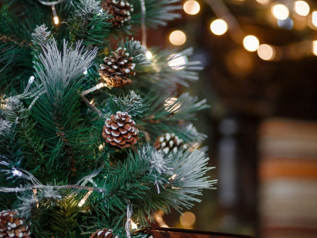 Un guide des gestes écoresponsables au temps des fêtes de fin d’année