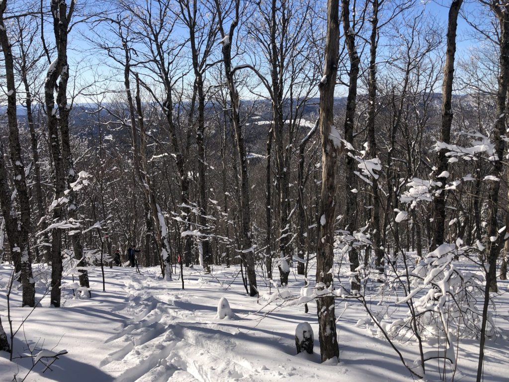Le Festival de ski de fond nordique revient au mont Kaaikop