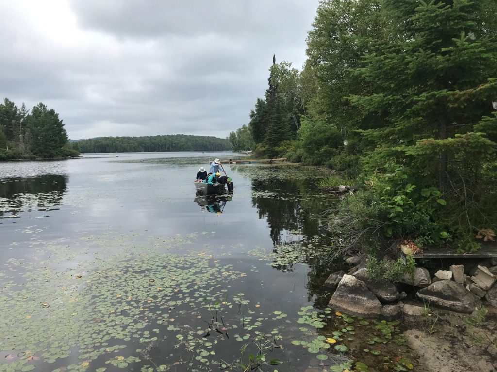 La santé des Lacs des Laurentides, une responsabilité partagée