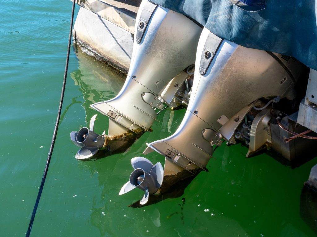 Québec se mobilise contre les espèces aquatiques envahissantes