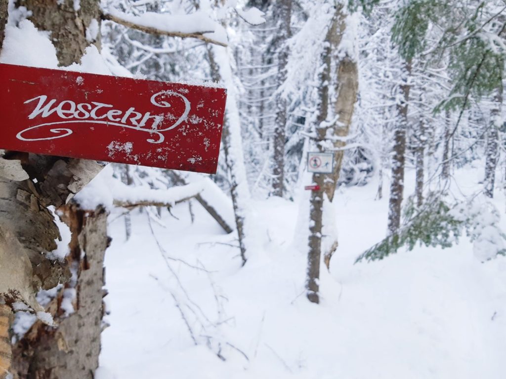 Un Sommet  pour la protection des sentiers patrimoniaux de ski des Laurentides
