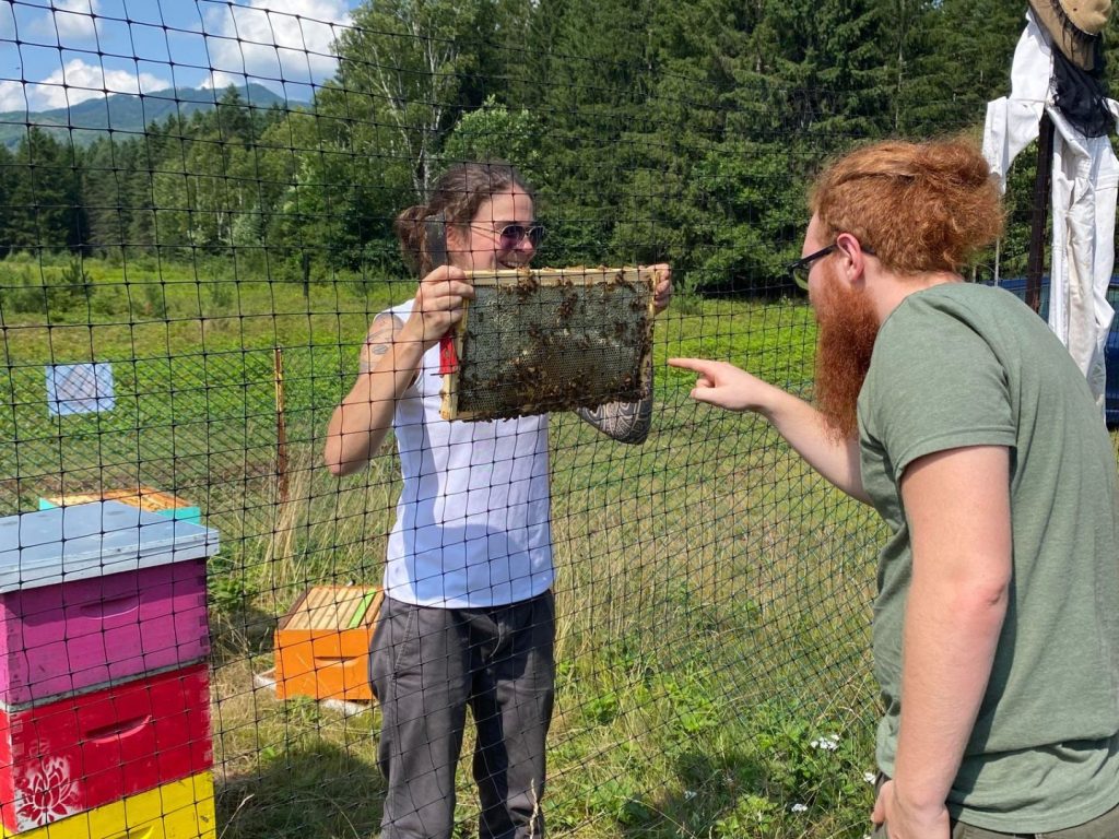 À la rencontre des abeilles : ateliers d’apiculture au Domaine Saint-Bernard