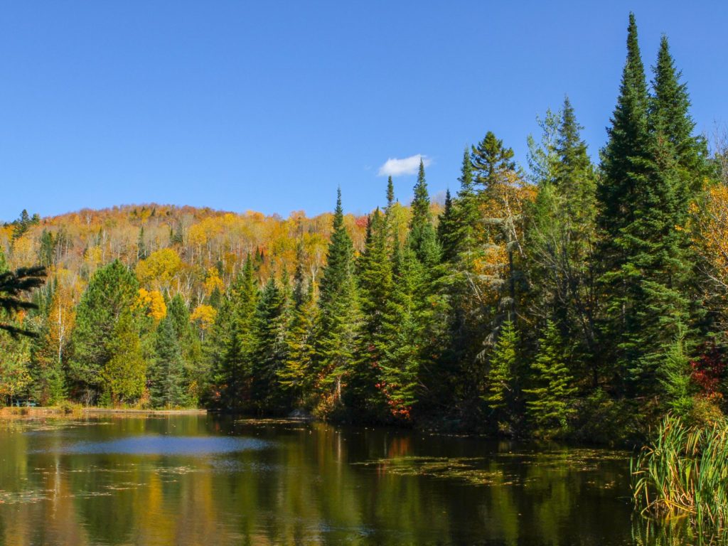 Les Laurentides invitées à se mobiliser pour la protection du territoire