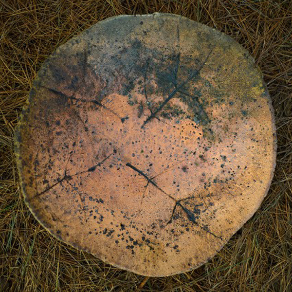 Une exploration artistique de la nature et de l’humain au Centre d’exposition