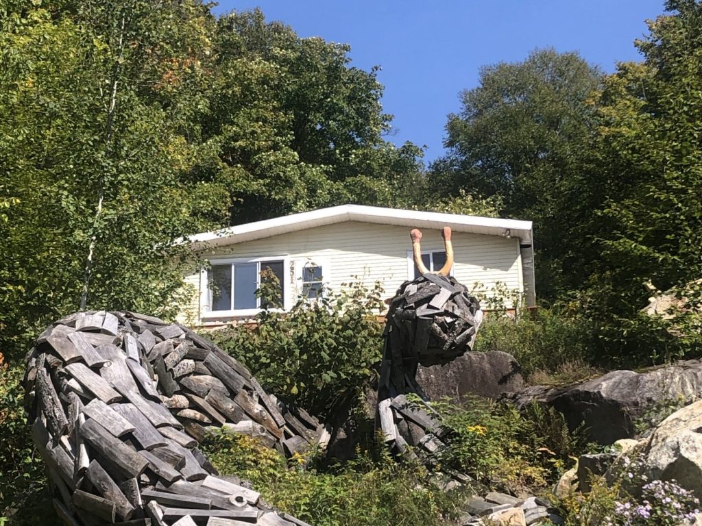 L’art est dans ses feuilles : une rencontre entre l’art et la nature