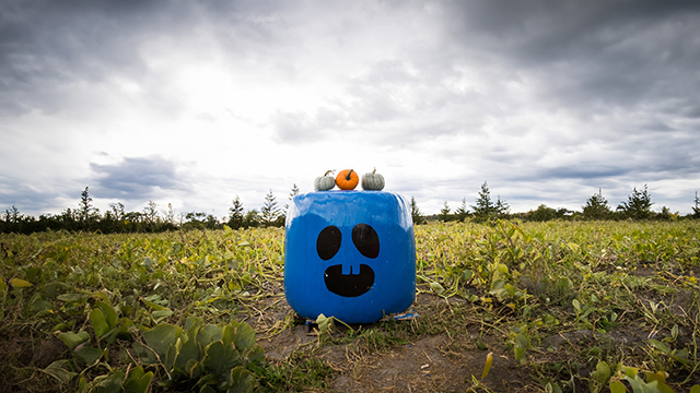 L’Halloween à l’honneur en octobre!