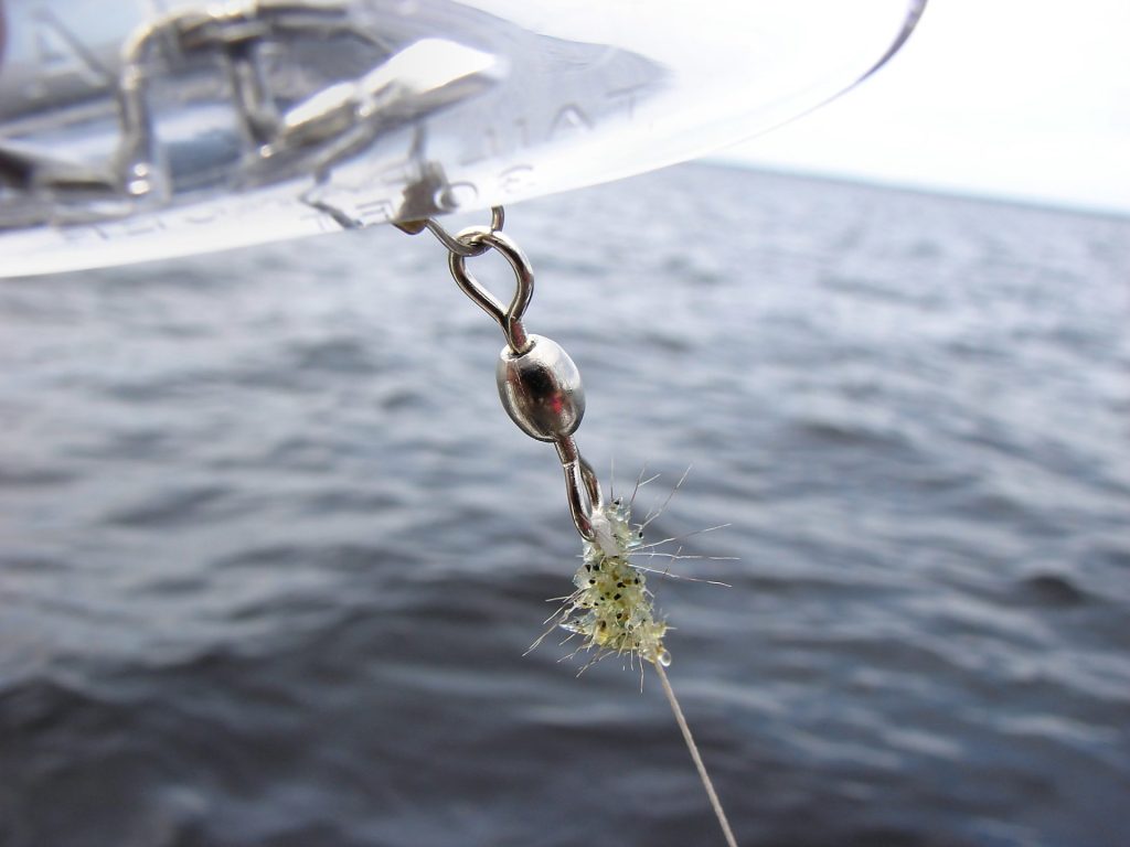 Le cladocère épineux détecté dans le réservoir Baskatong