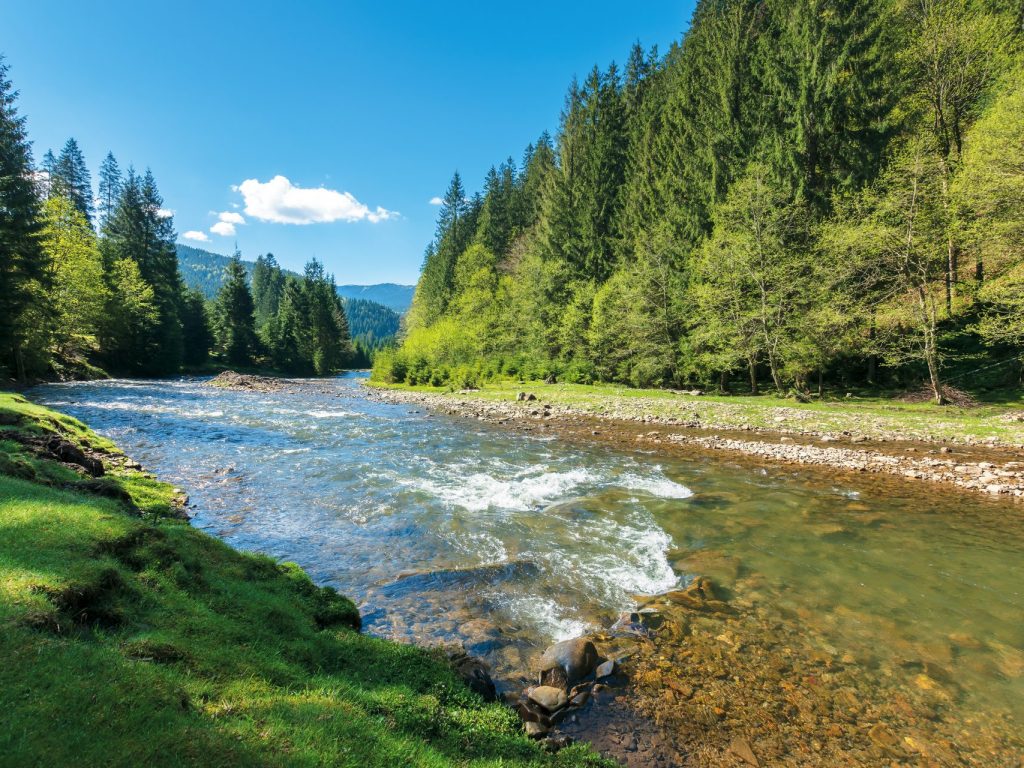 Fonds vert de Val-Morin : des idées recherchées