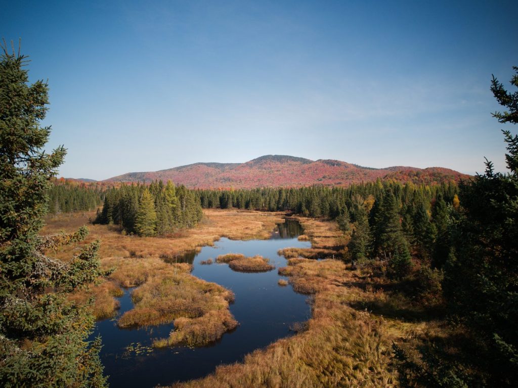 Consultation publique pour le Mont Kaaikop