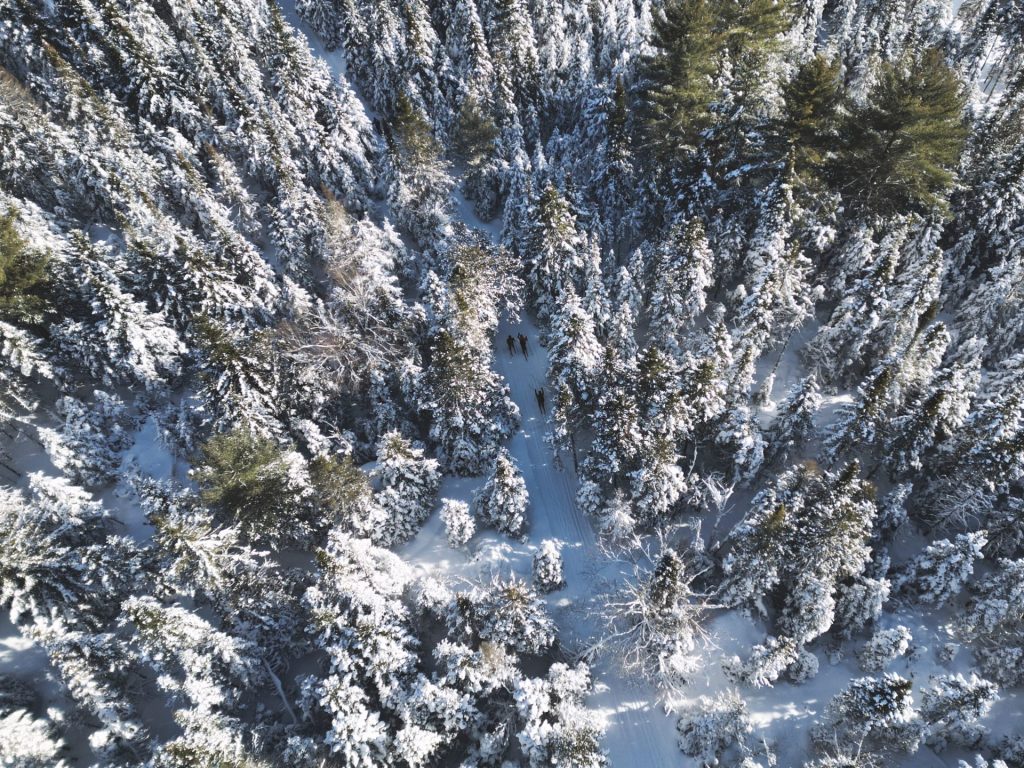 Les Routes blanches prennent vie