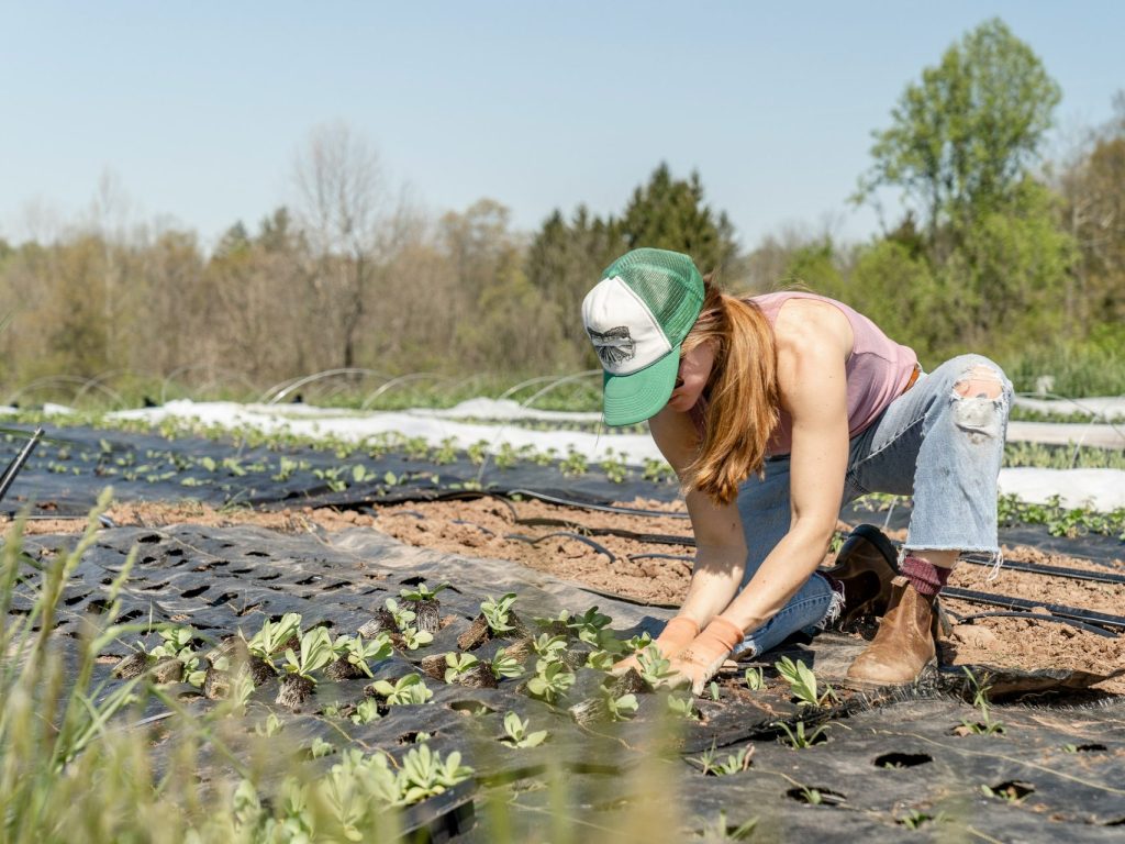 La MRC des Laurentides octroiera 125 000 $ pour les milieux de vie et l’économie locale