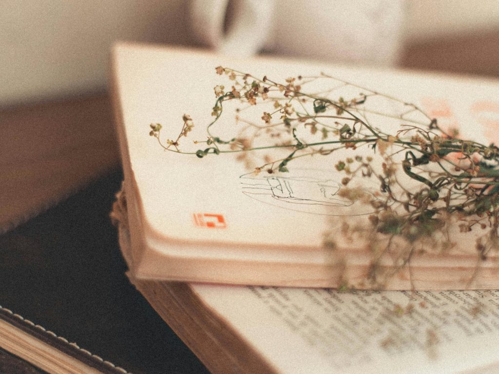 Dévoilement des finalistes de la treizième édition