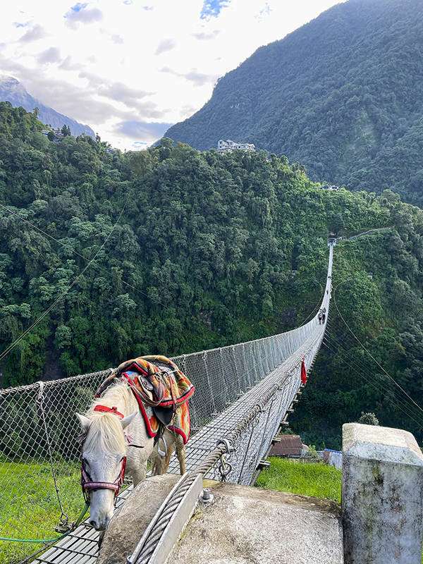 Népal Pont suspendu