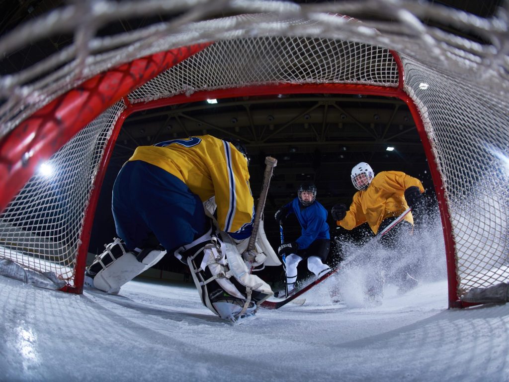 C’est maintenant officiel, Québec hisse le hockey sur glace au rang de sport national. Il était temps, scande la foule.
(Photo Adobe Stock)